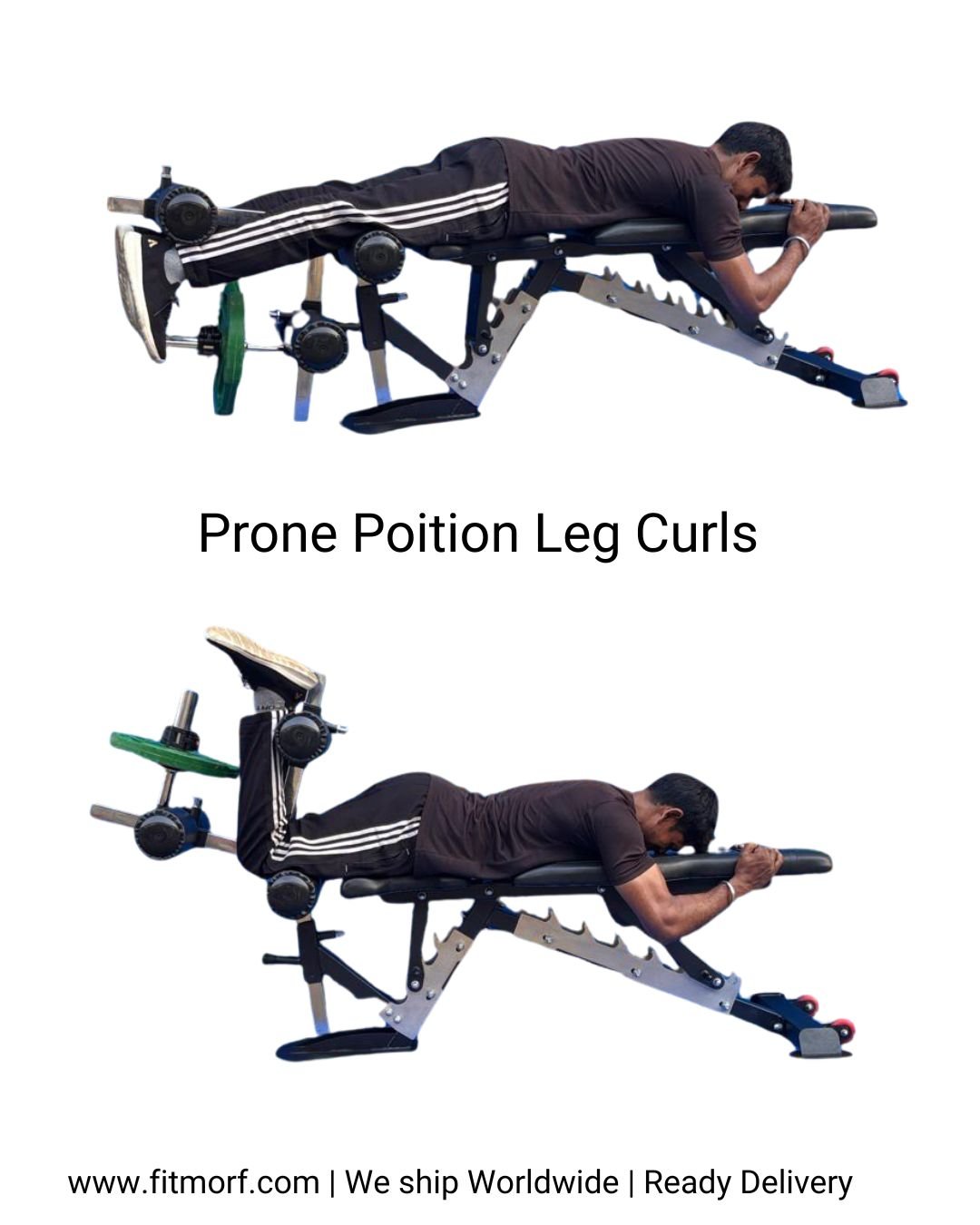 Leg Extension + Leg Curl with Adjustable Gym Bench - fitmorf